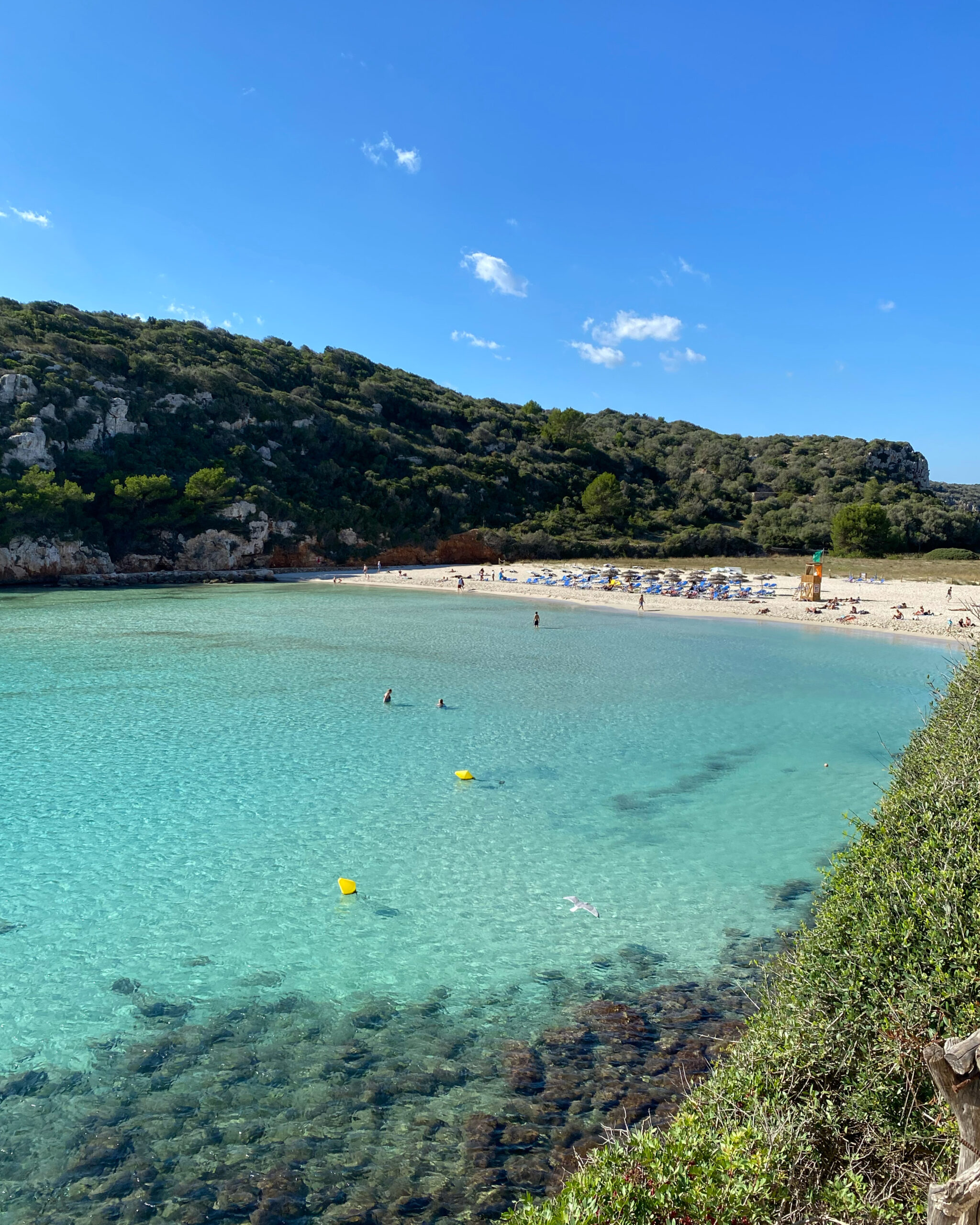 Cala en Porter Beach